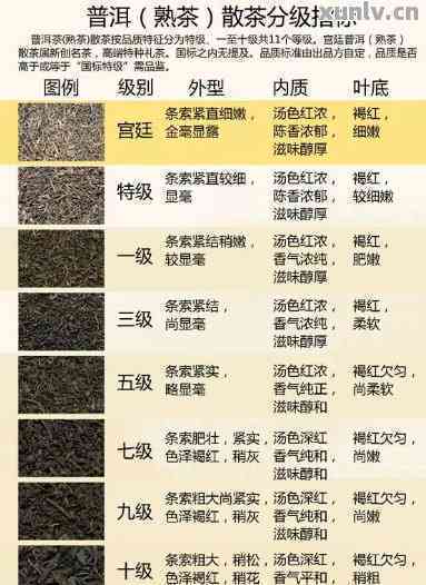 带你探秘普洱茶是什么茶，档次，系列与总体定义