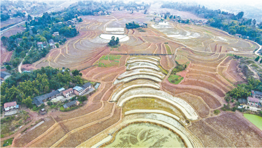 探索和田策勒县玉石产业：地域特色与市场前景分析