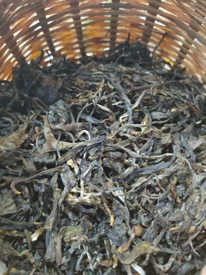 古树普洱茶生茶散茶