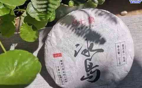 新 冰岛古树茶饼：独特风味与丰富历，探究其价格因素