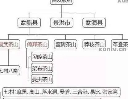 普洱茶著名的85个山头特色口感大全：探究普洱茶各山头的风味差异