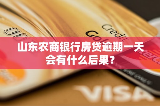 农商行贷款逾期一天后果是什么怎么补救：影响信用、扣款、再次申请等解答