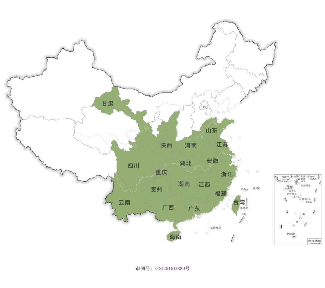 普洱茶著名山头品种及产地概览