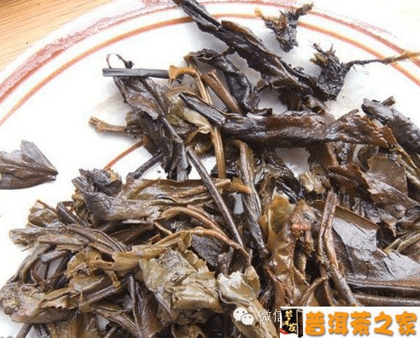 普洱茶老叶子怎么喝