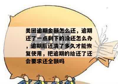 美团逾期一年后全额还清办理方法，如何解决？