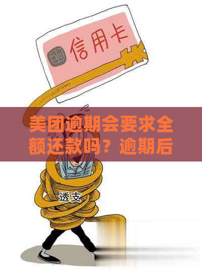 美团逾期了可以申请一年后全额还清吗