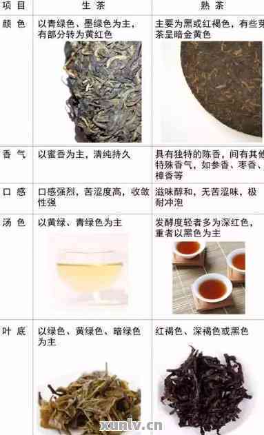 普洱茶：熟茶与生茶的功效对比分析，帮助您选择最适合您的茶叶