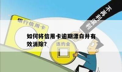 如何将信用卡逾期漂白：消除记逾期方式，还款策略与降低利息窍门