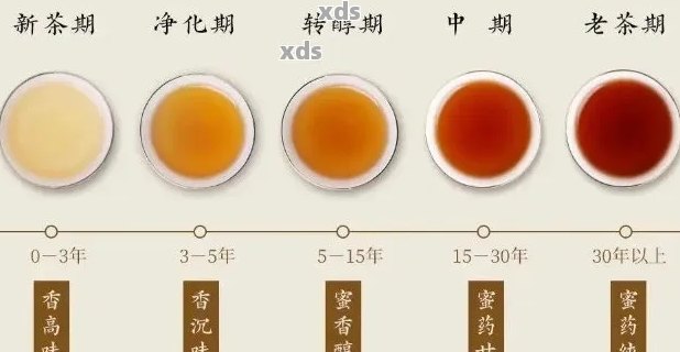 普洱茶生茶散茶转化时间：揭示其独特的醇化过程