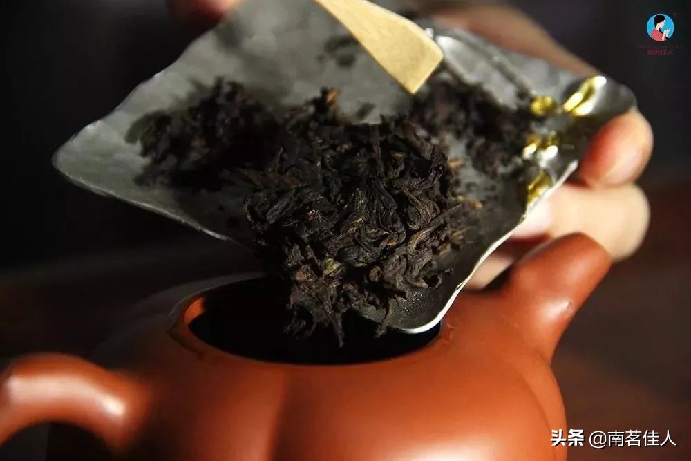 本味普洱茶熟茶还是生茶：口感与价格对比分析，十年陈年生茶价值解析