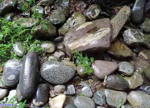 石川河有玉石吗？探索石川河的石头种类及宝贝石头