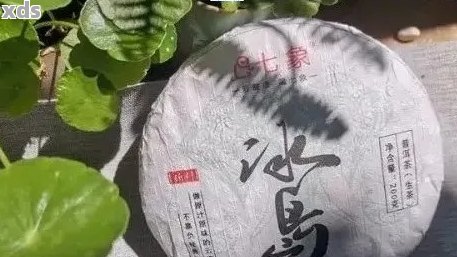 冰岛普洱茶私藏珍品完整价格表，包括品种、年份和市场价值解析