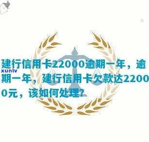 逾期一年的建行信用卡22000元：如何解决还款问题，相关政策及影响解析