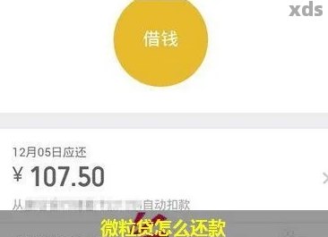 微粒贷没有借还款记录代表成功借款吗？扣款但无还款记录的原因是什么？