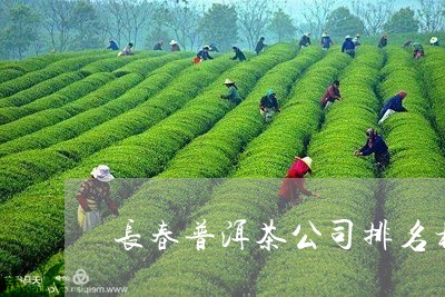 吉林知名普洱茶企业排名