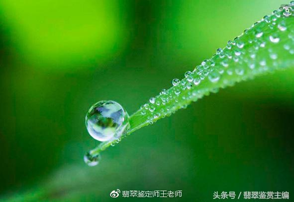 玉石滴水形成的水珠为何不散？探究其物理原理及科学现象。