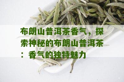 普洱茶布朗香味特点介绍：布朗山茶的特点