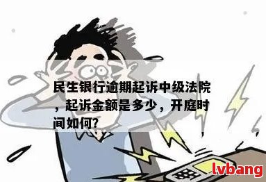 民生银行逾期2年立案：用户可能面临的法律风险与解决方案全面解析