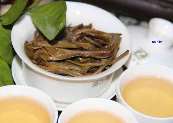 泰普洱茶2007年价格，古树茶，生津止渴，云南普洱茶，老茶树，品茗体验