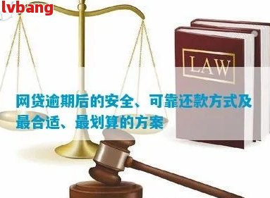 网商逾期还款：几个小时的是否会影响安心还款？安全性如何保障？