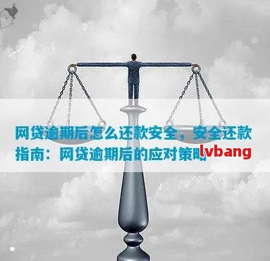 网商逾期还款：几个小时的是否会影响安心还款？安全性如何保障？