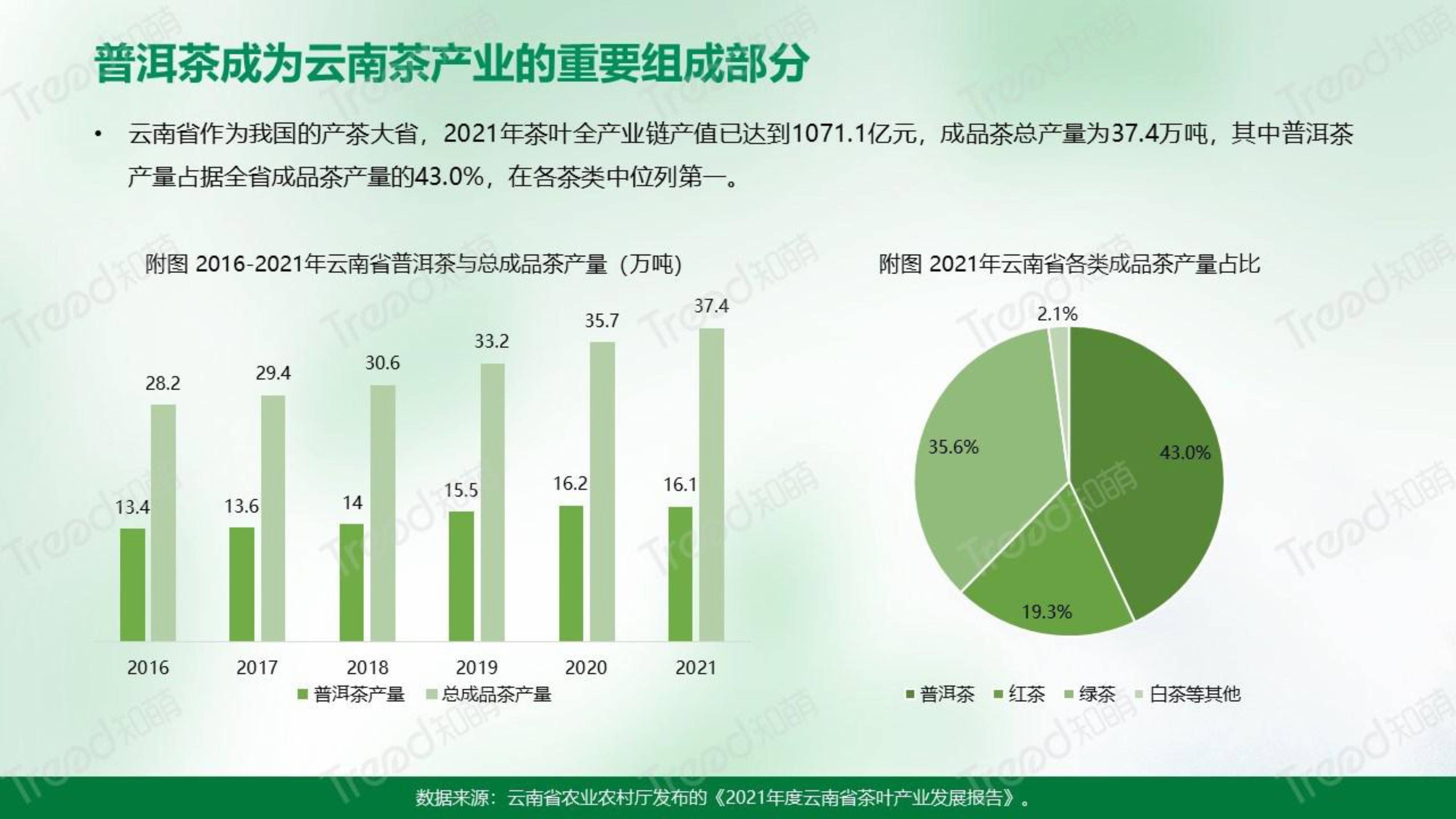 2023年普洱茶市场预测：新趋势、新渠道与新挑战