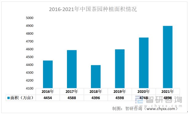 2023年普洱茶市场预测：新趋势、新渠道与新挑战