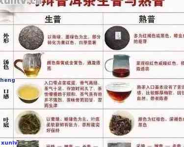 普洱茶的多元化分类：从种类到品质，一次详解