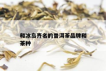 冰岛齐名的普洱茶是哪种茶-冰岛齐名的普洱茶是哪种茶叶