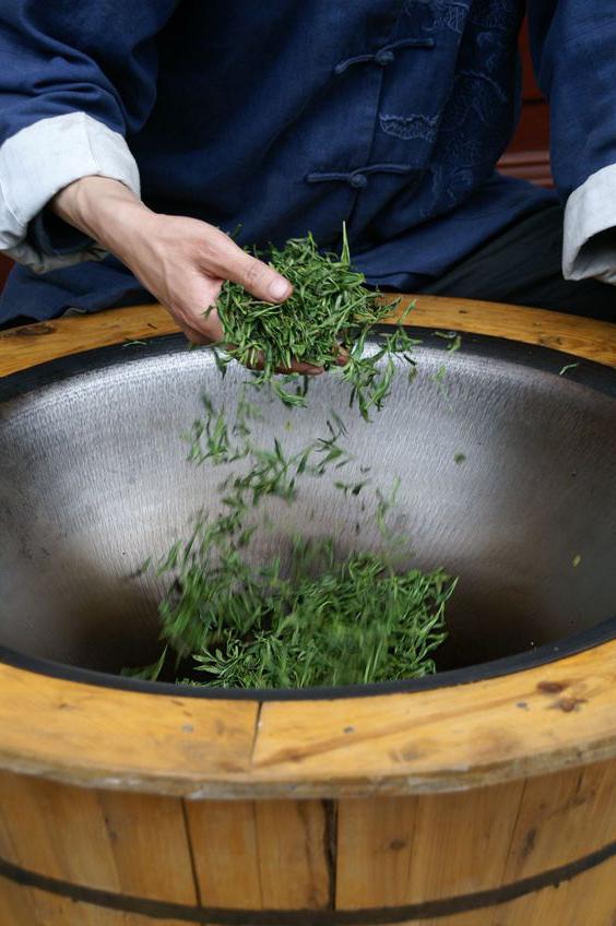 普洱茶泡出来特别浓的原因及其影响：了解背后的秘密，掌握正确的泡茶技巧