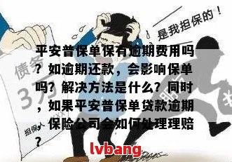 保单贷款逾期3天的影响及解决办法：全面解答您的疑虑