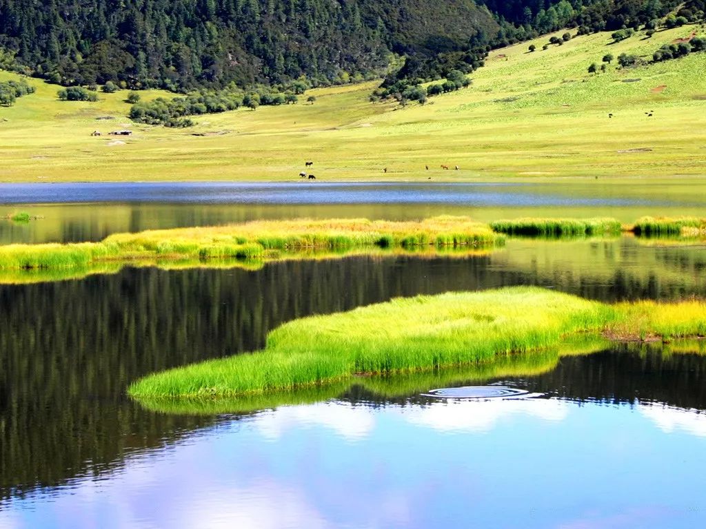 云南迪庆旅游景点全面指南：探索香格里拉的自然风光与人文景观