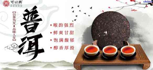 合茶业普洱茶价格：多少钱一斤？