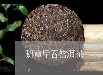 班章春晓：早春普洱生茶的诗意与醇厚