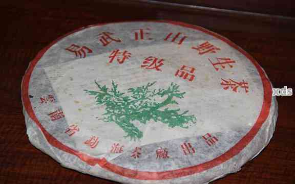 2003年份古树普洱茶精品价格解析，收藏投资指南