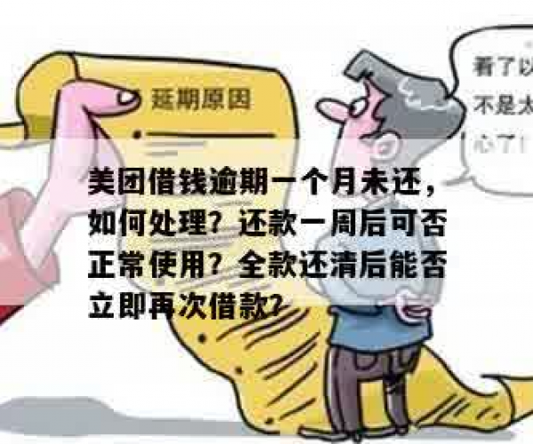 美团借钱逾期后还款策略及可能影响：是否必须一次性还清？