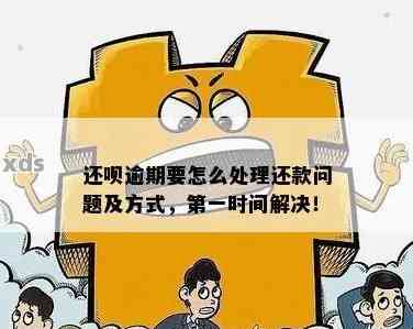 还呗额度问题还款失败怎么解决：处理中的借款与逾期一并搞定