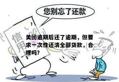 美团借钱逾期还款策略：严重逾期是否必须一次性还清？