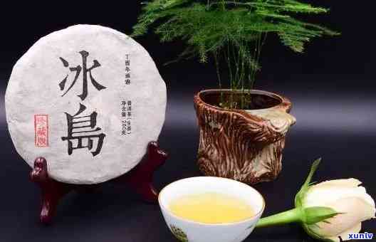 冰岛茶：一种独特的普洱茶体验，让你重新发现茶文化的魅力