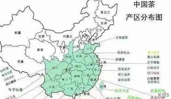 普洱茶的产地和特点：南方还是其他地区？