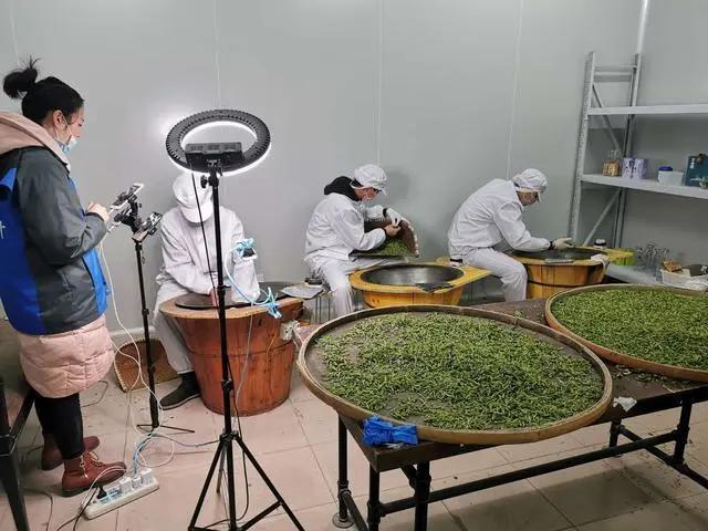 普洱茶工厂直播间进入方法