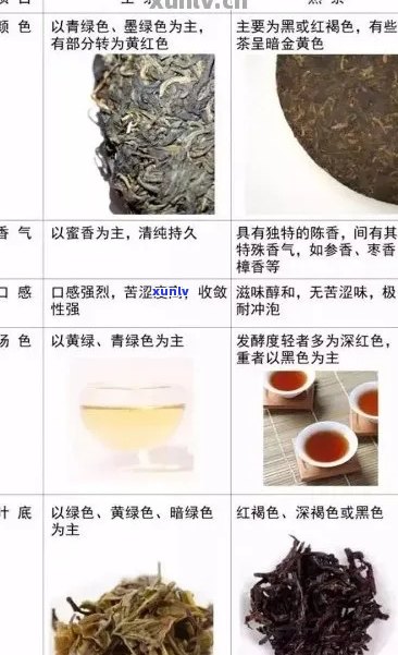 普洱茶与六宝茶：口感对比与选择建议