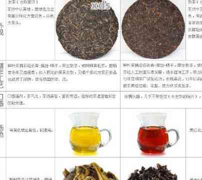 普洱茶与六宝茶：口感对比与选择建议