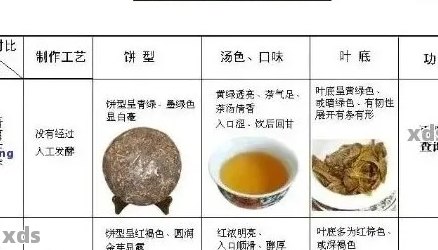 普洱茶与六宝茶：口感对比与选择建议