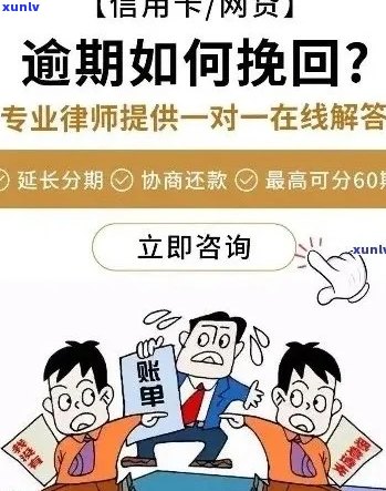 新逾期处理全指南：流程、要求及可能影响一应俱全