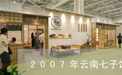 云南七子饼茶2007年版本：品质、制作工艺与口感全面解析