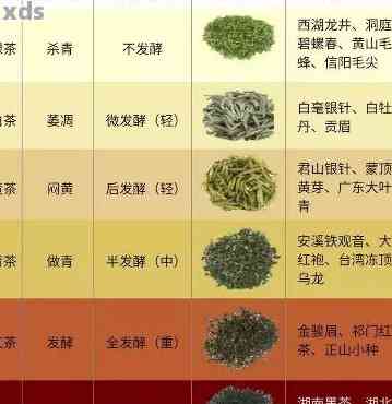 普洱茶小叶种的种类、产地、口感及冲泡方法全面解析，助你成为普洱茶专家