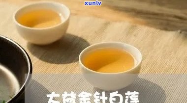 大益普洱金针白莲茶品鉴：口感、功效、冲泡方法及价格全面解析