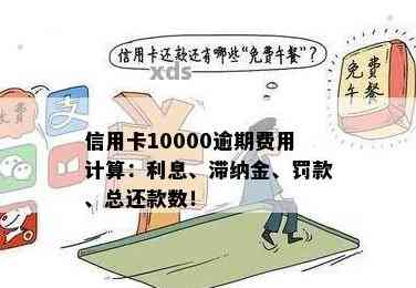 信用卡逾期还款费用：10000元一天的利息是多少？