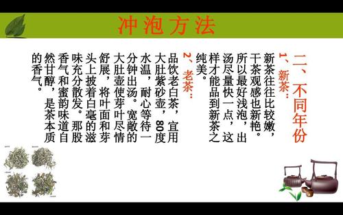 天饮用白茶的好处与注意事项：解答关于白茶在的适用性及相关问题